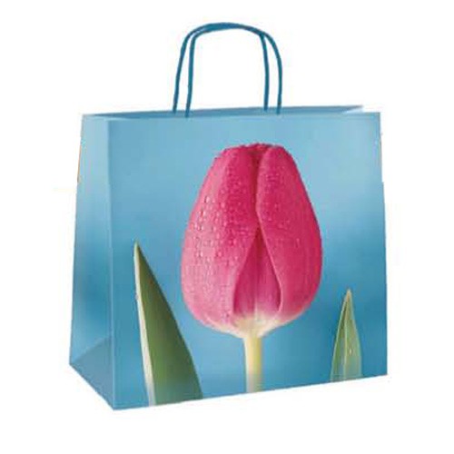 Blue Tulip 20x8x18 - 300 pz